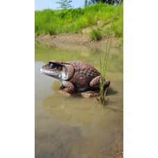 Wildcrete Toad